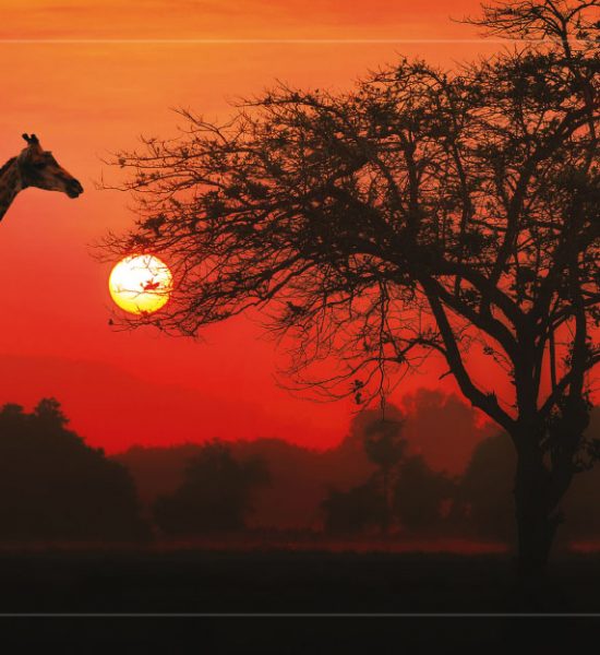 43-Tanzania-prosperity-africa-penresa